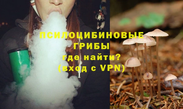 синтетический гашиш Алексеевка