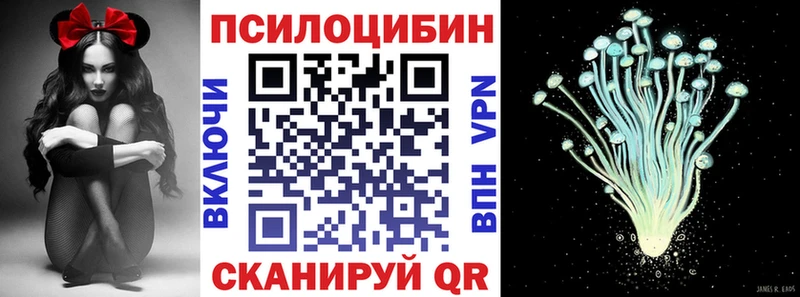 наркотики  кракен как зайти  Галлюциногенные грибы GOLDEN TEACHER  Закаменск 